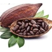 Cocoa