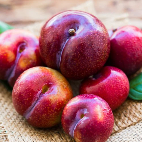 Hanoi Plums