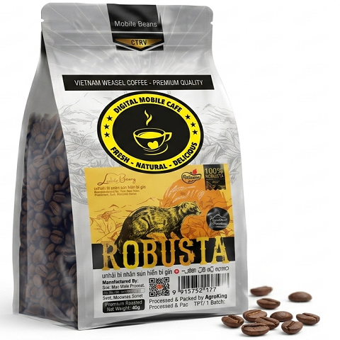 MB Robusta